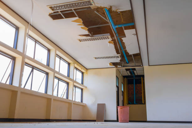 Best Flooded house restoration  in Leavittsburg, OH