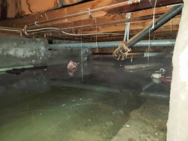 Best Water damage restoration near me  in Leavittsburg, OH