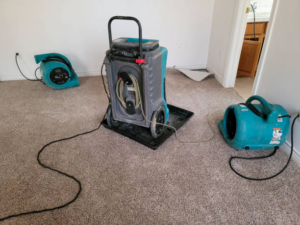 Best Commercial water damage restoration  in Leavittsburg, OH