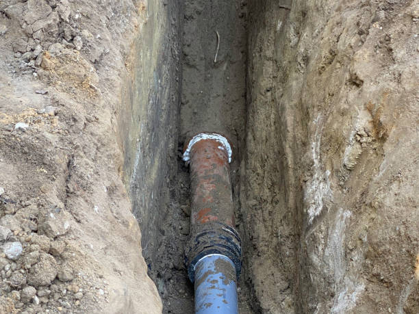 Best Basement water damage restoration  in Leavittsburg, OH
