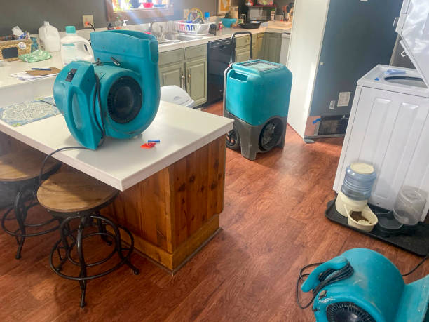 Best Mold removal after water damage  in Leavittsburg, OH