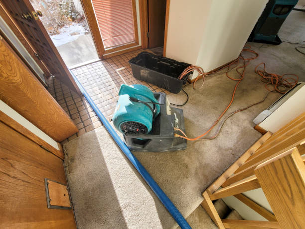 Best Water damage restoration near me  in Leavittsburg, OH