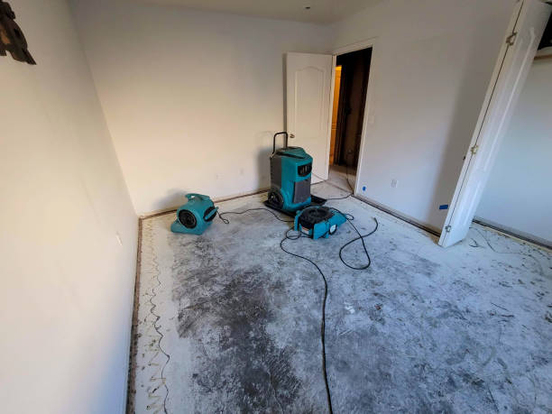 Best 24-hour water damage restoration  in Leavittsburg, OH