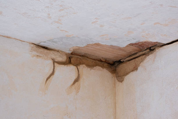 Best Basement water damage restoration  in Leavittsburg, OH