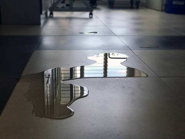 Best Water damage restoration near me  in Leavittsburg, OH