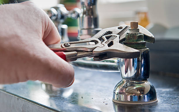 Best Flood damage cleanup  in Leavittsburg, OH