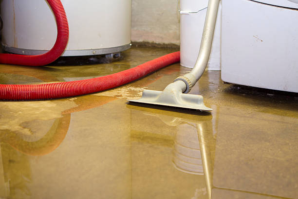 Sewage cleanup and water damage restoration in Leavittsburg, OH