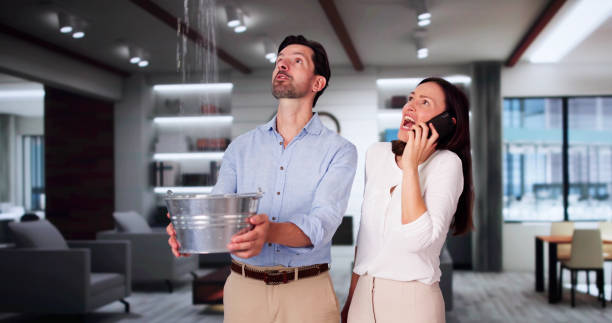 Best Ceiling water damage repair  in Leavittsburg, OH