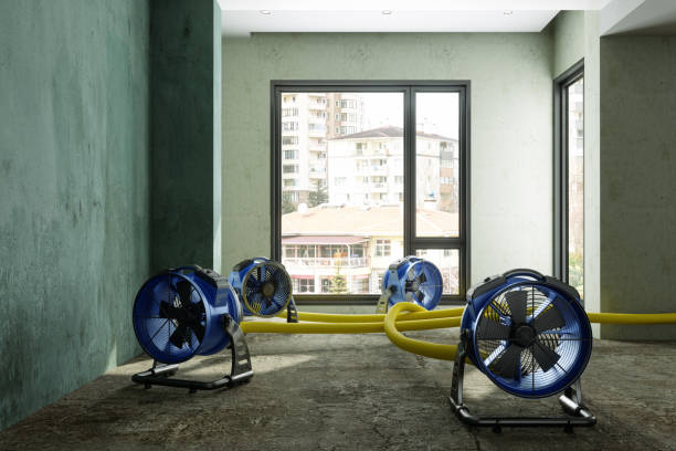 Best Professional water damage repair  in Leavittsburg, OH