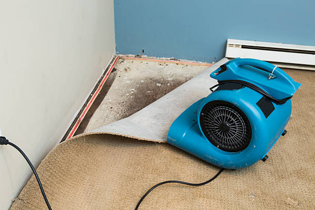Best Water damage contractors near me  in Leavittsburg, OH