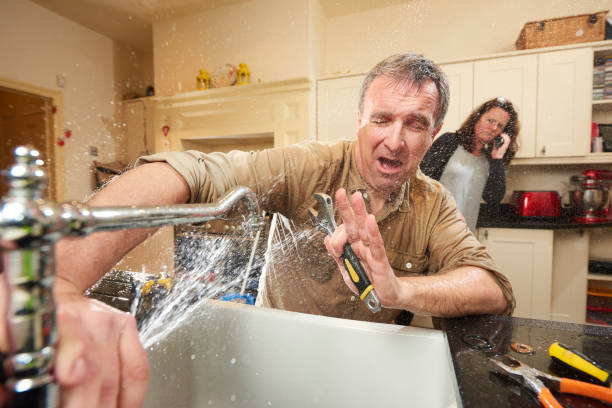 Best Water damage mitigation services  in Leavittsburg, OH